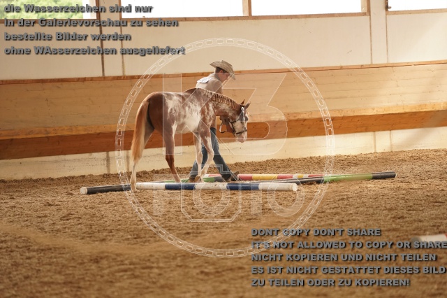 s_A_901036.JPG